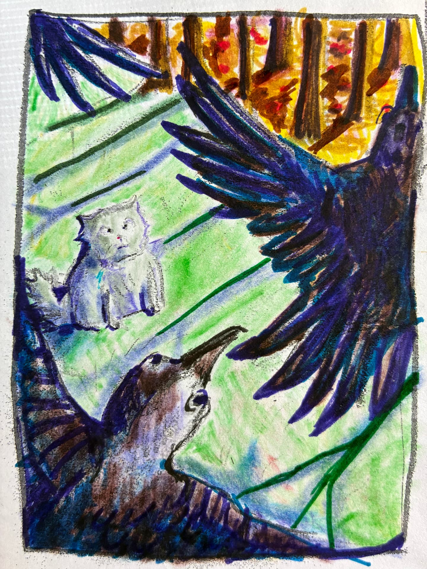 Wings Over the Clearing